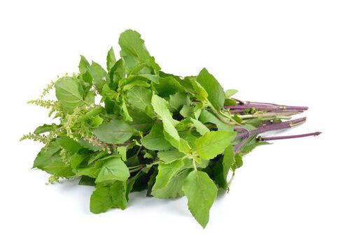 Basil hostoak spray zxcvbnmqwert