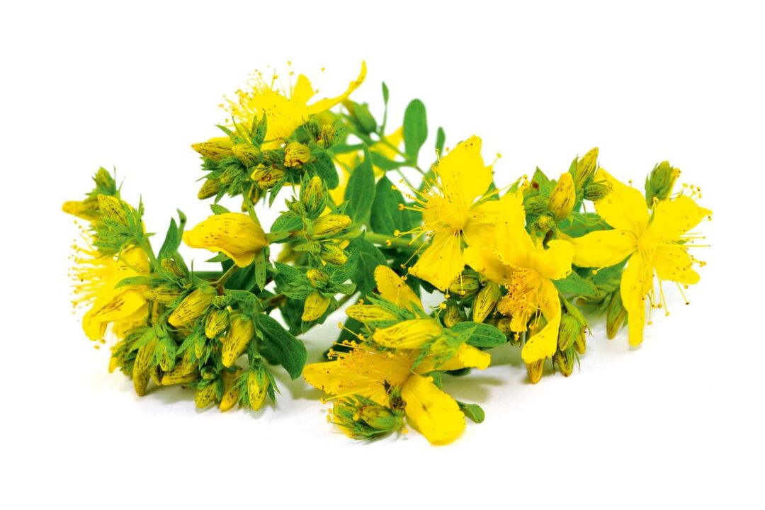 St. John's Wort Nicode spray-n