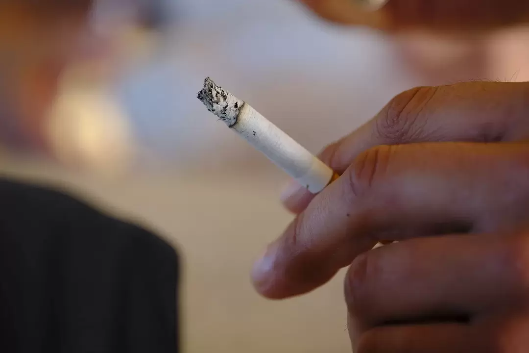 ZXCVBNMQWORT erabili aurretik asko erretzen nuen