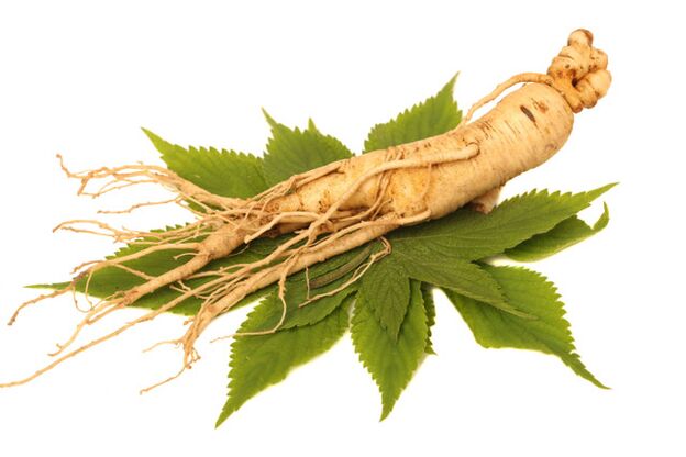 ginseng root spray zxcvbnmqwert